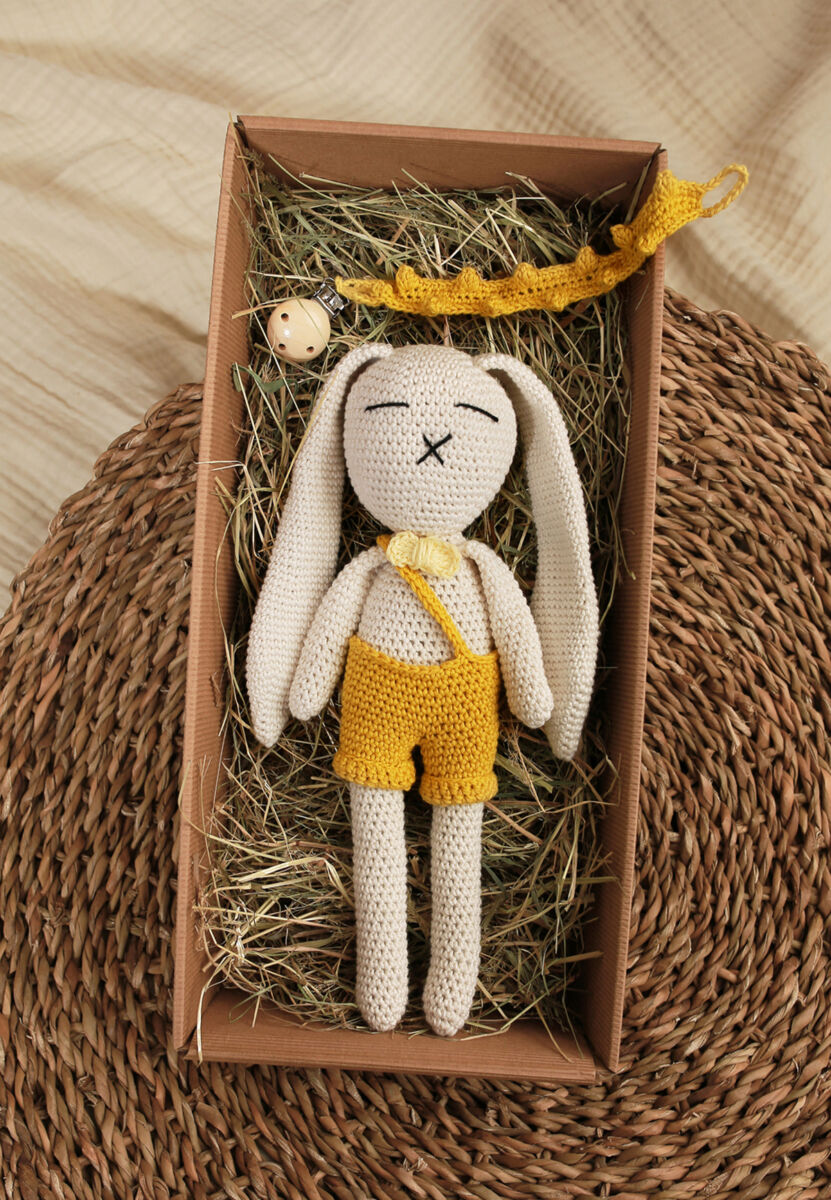 Schlappohr Hase Jungen