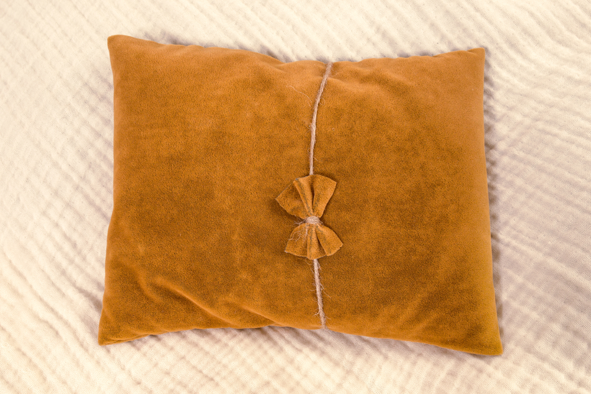 Neugeborenen Fotografie Prop / Possier Kissen